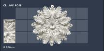 Ceiling Rose - 43